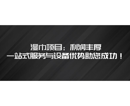 濕巾項(xiàng)目：利潤(rùn)豐厚，一站式服務(wù)與設(shè)備優(yōu)勢(shì)助您成功！